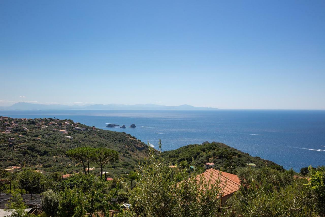 Geca'S House - Panoramic Sea View Studio Масса-Лубренсе Екстер'єр фото